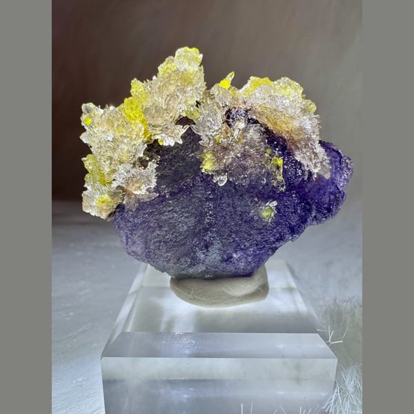 Yellow Creedite and Carlhintzeite on Purple Fluorite 4.5 cm — alternate view