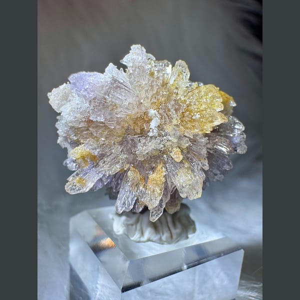 Purple-White and Yellow Creedite Flower 2.5 cm — complete view