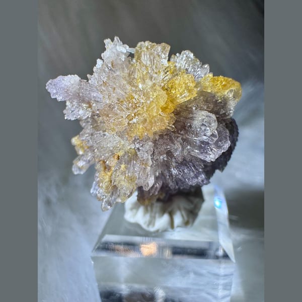 Purple-White and Yellow Creedite Flower 2.5 cm — alternate view