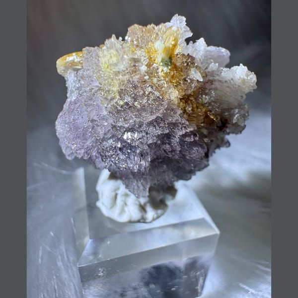 Purple-White and Yellow Creedite Flower 2.5 cm — alternate view