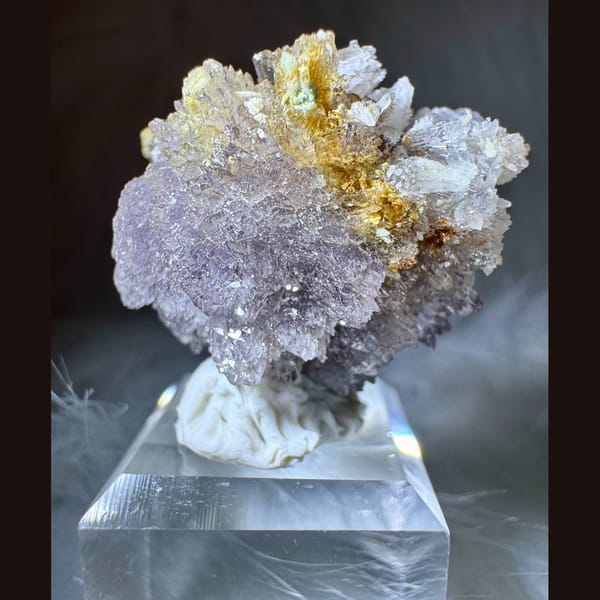 Purple-White and Yellow Creedite Flower 2.5 cm — detail view
