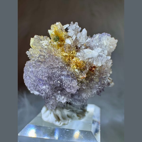 Purple-White and Yellow Creedite Flower 2.5 cm — detail view