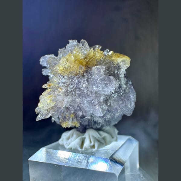 Purple-White and Yellow Creedite Flower 2.5 cm — detail view
