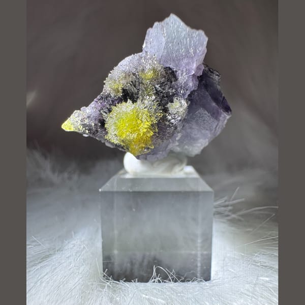 Purple Creedite with Yellow Carlhintzeite 4.0 cm — complete view