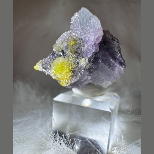 Purple Creedite with Yellow Carlhintzeite 4.0 cm — alternate view