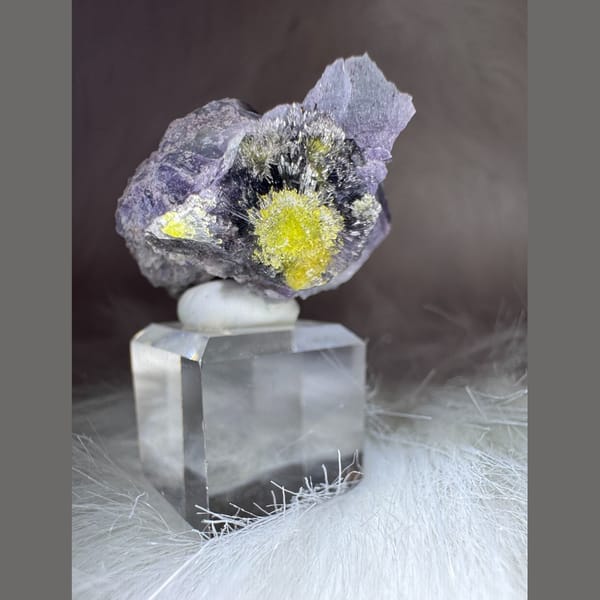 Purple Creedite with Yellow Carlhintzeite 4.0 cm — alternate view