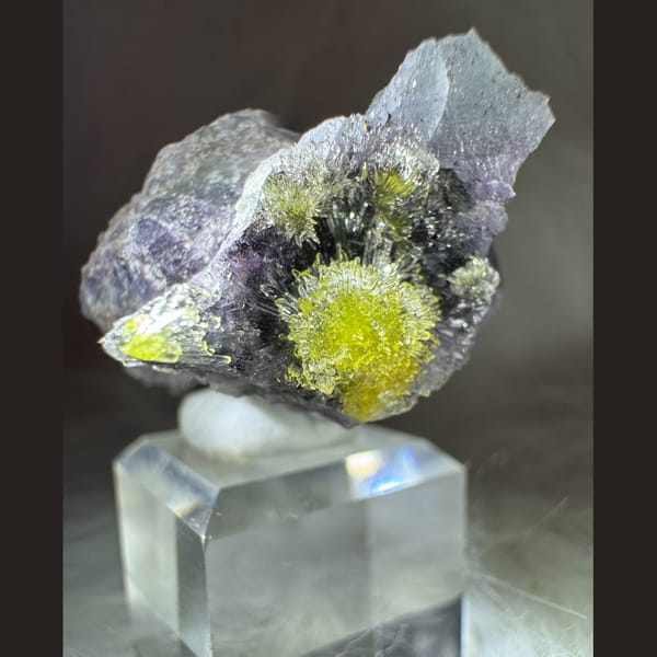 Purple Creedite with Yellow Carlhintzeite 4.0 cm — detail view