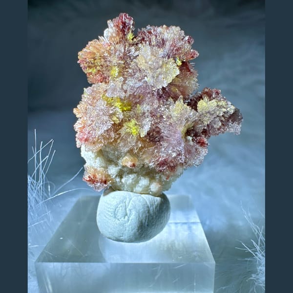 Pink-White Creedite Flower with Yellow-Green 2.8 cm — complete view
