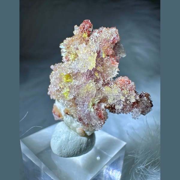 Pink-White Creedite Flower with Yellow-Green 2.8 cm — alternate view