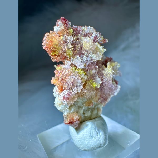 Pink-White Creedite Flower with Yellow-Green 2.8 cm — detail view
