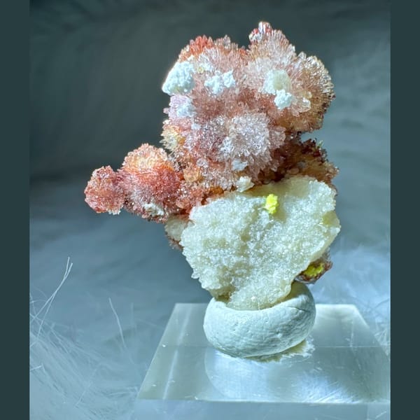 Pink-White Creedite Flower with Yellow-Green 2.8 cm — detail view