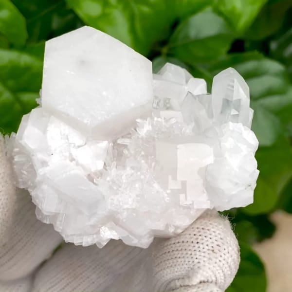 Pale pink hexagonal biscuit calcite with clear quartz — complete view