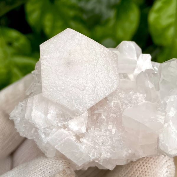 Pale pink hexagonal biscuit calcite with clear quartz — detail view