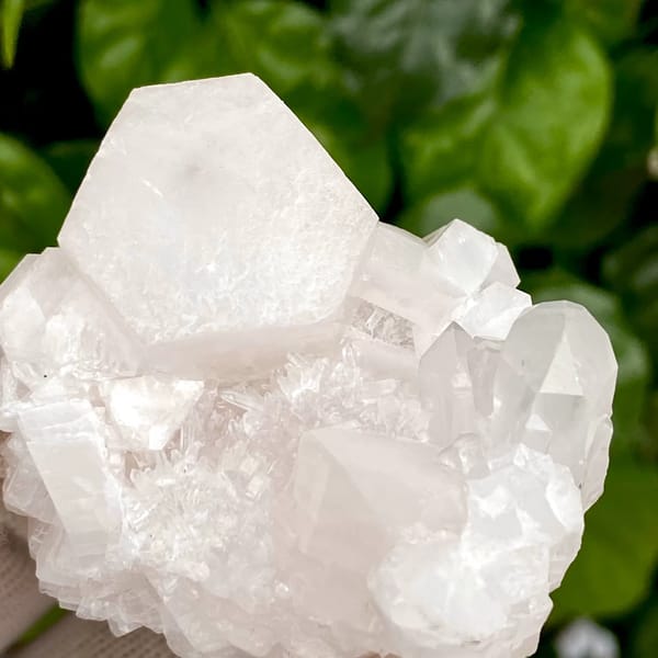 Pale pink hexagonal biscuit calcite with clear quartz — detail view