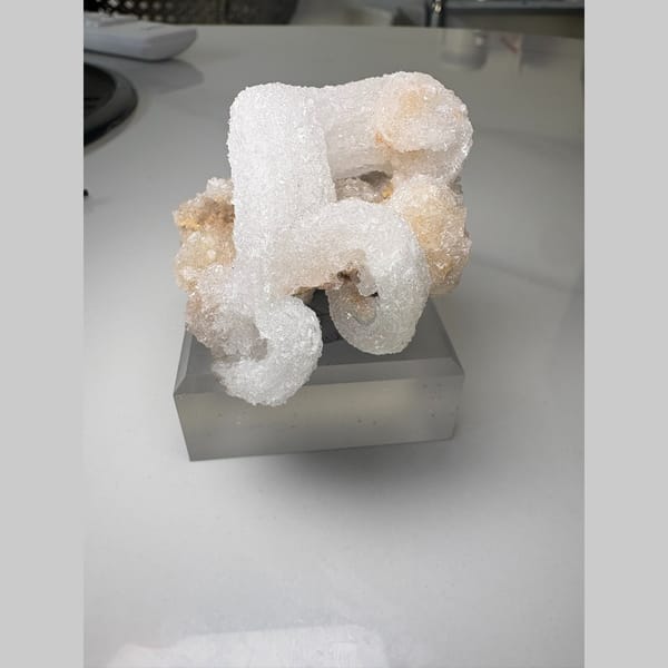 Curling white ram's horn gypsum on pale matrix — complete view