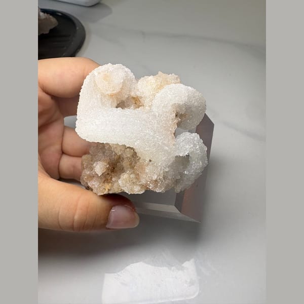Curling white ram's horn gypsum on pale matrix — alternate view