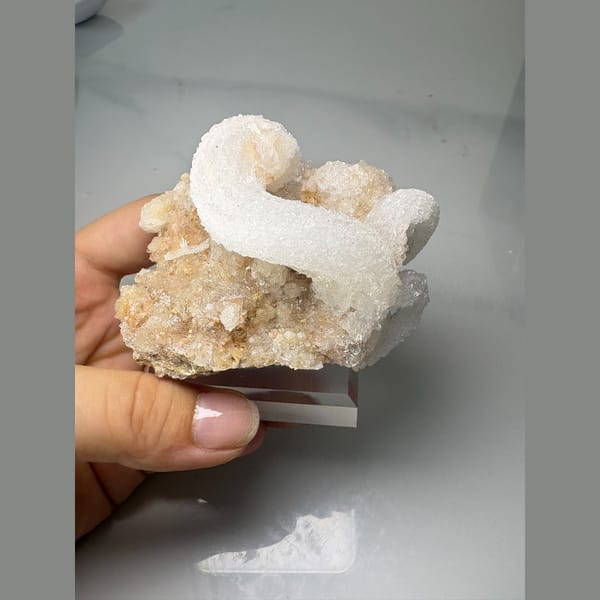 Curling white ram's horn gypsum on pale matrix — detail view