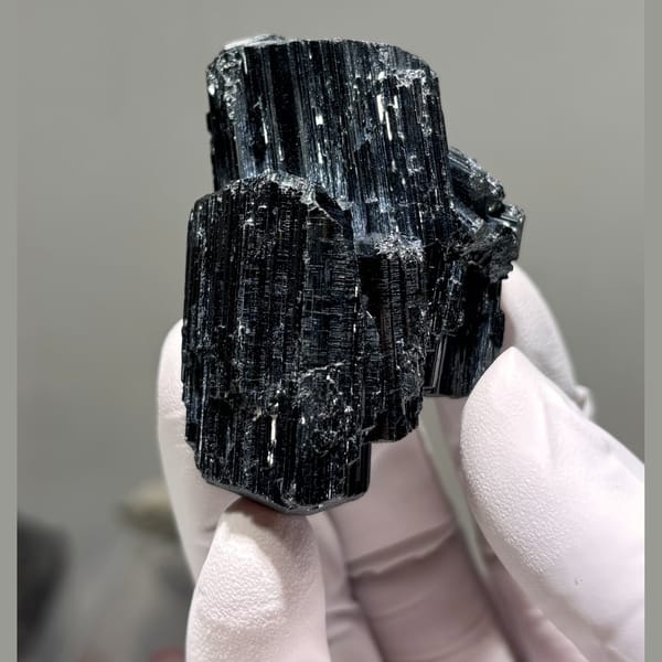 Black Tourmaline Floater Mozambique 5.9 cm — complete view