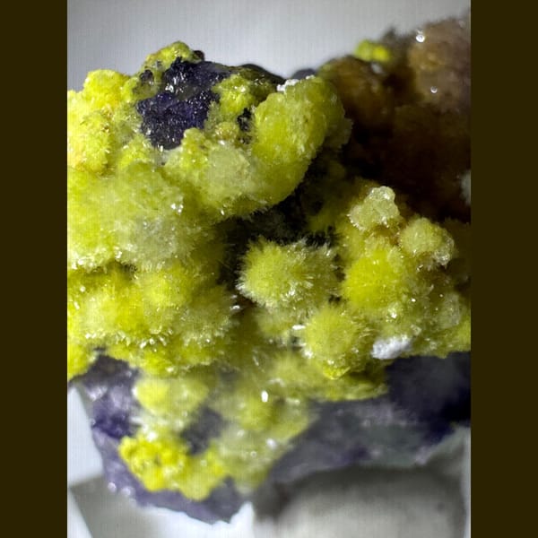 Creedite, Fluorite and Carlhintzeite Cluster 3.5 cm — detail view