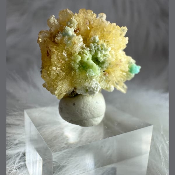 Yellow-White Creedite Flower, UV Reactive 2.0 cm — complete view