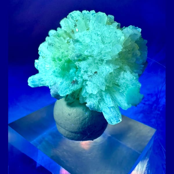 Yellow-White Creedite Flower, UV Reactive 2.0 cm — detail view