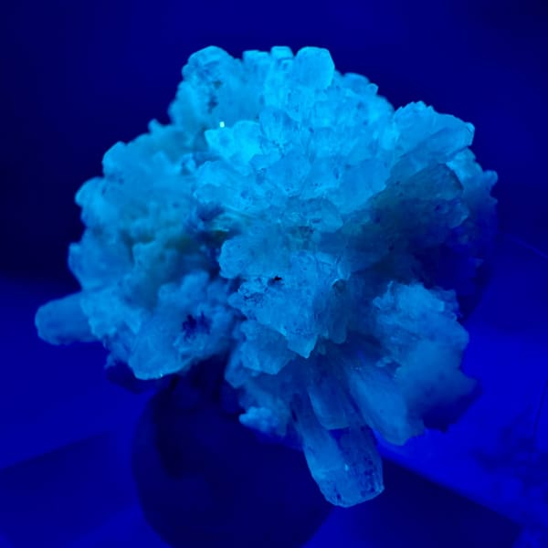 Yellow-White Creedite Flower, UV Reactive 2.0 cm — detail view