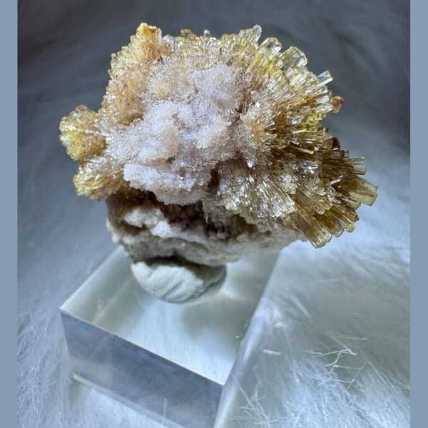 Yellow and White Creedite Flower 3.5 cm — complete view