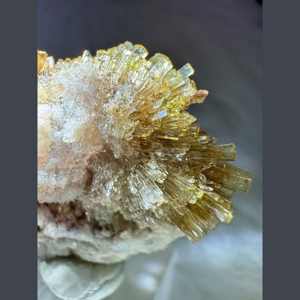 Yellow and White Creedite Flower 3.5 cm — alternate view