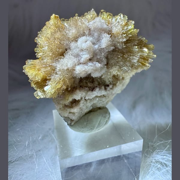 Yellow and White Creedite Flower 3.5 cm — alternate view