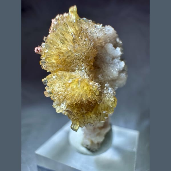 Yellow and White Creedite Flower 3.5 cm — detail view
