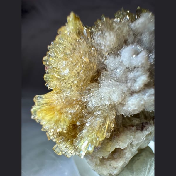 Yellow and White Creedite Flower 3.5 cm — detail view