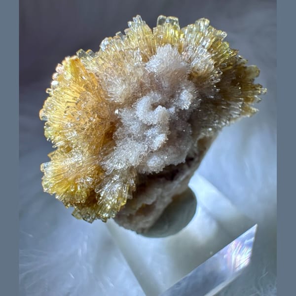 Yellow and White Creedite Flower 3.5 cm — detail view