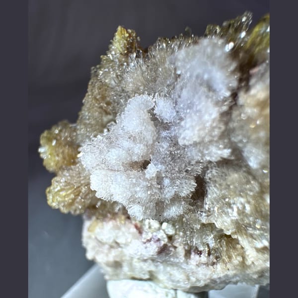Yellow and White Creedite Flower 3.5 cm — detail view