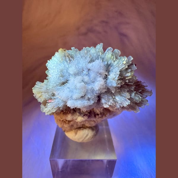 Yellow and White Creedite Flower 3.5 cm — detail view