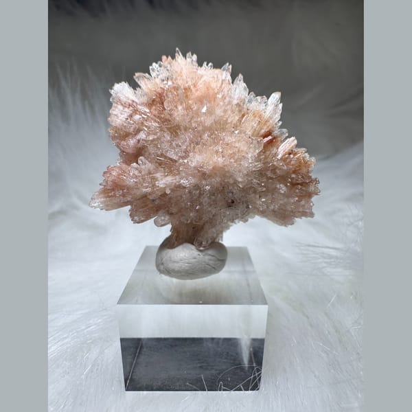 Pink Creedite Flower Cluster 3.5 cm — complete view