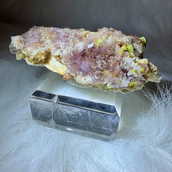 Creedite and Carlhintzeite Plate 6.5 cm — alternate view