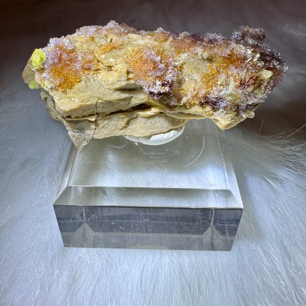 Creedite and Carlhintzeite Plate 6.5 cm — detail view