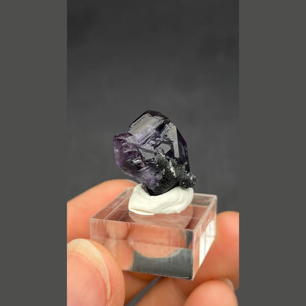Deep violet-blue fluorite crystal on dark matrix from Fujian — detail view