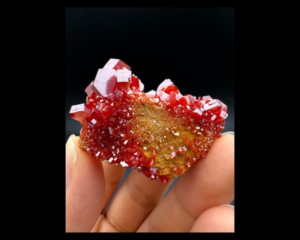 Complete broad face of red vanadinite surrounding an ochre matrix, Morocco