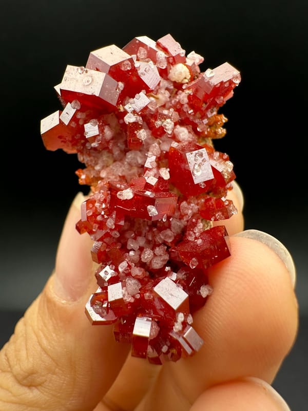 Complete narrow face covered in red vanadinite and pale associated crystals
