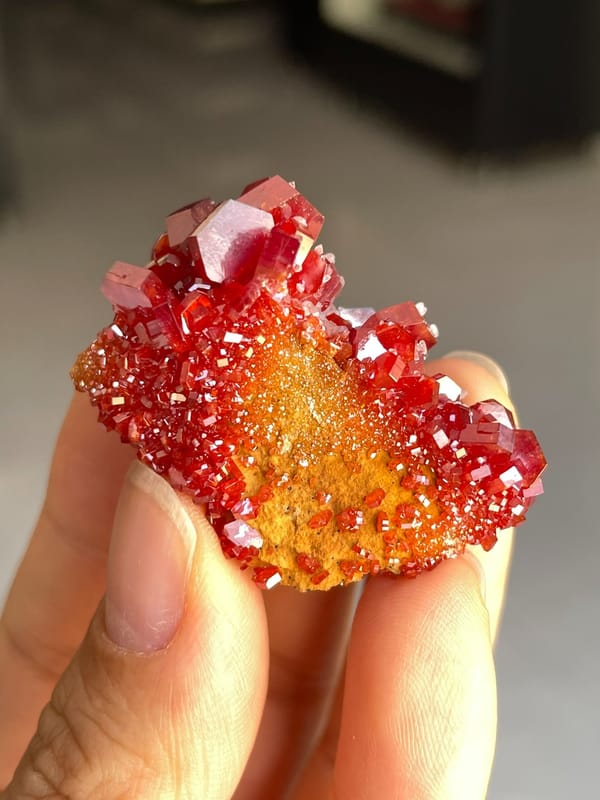 Complete higher oblique view showing the largest red crystals on the same specimen