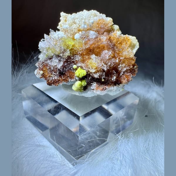Creedite, Carlhintzeite and Fluorite 3.0 cm — complete view