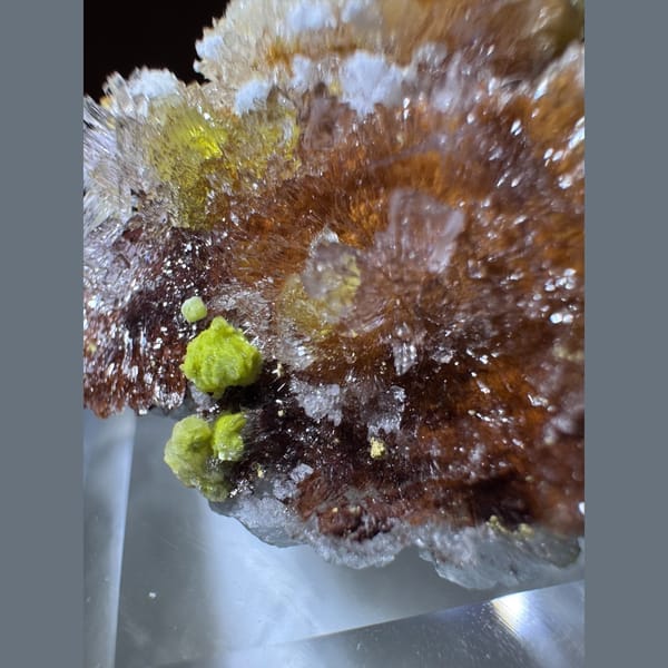 Creedite, Carlhintzeite and Fluorite 3.0 cm — detail view