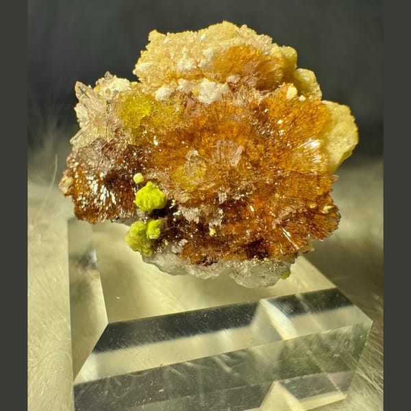 Creedite, Carlhintzeite and Fluorite 3.0 cm — detail view