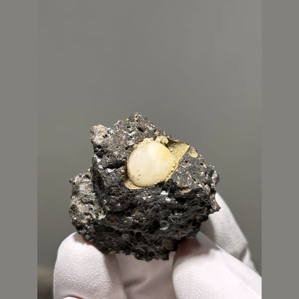 Rounded yellow calcite in a pocket of dark matrix from Zhejiang — alternate view