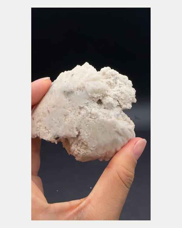 Complete underside view of pale calcite-rich matrix