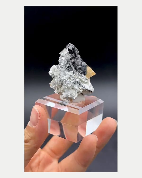 Complete reverse view of scheelite with cassiterite and mica