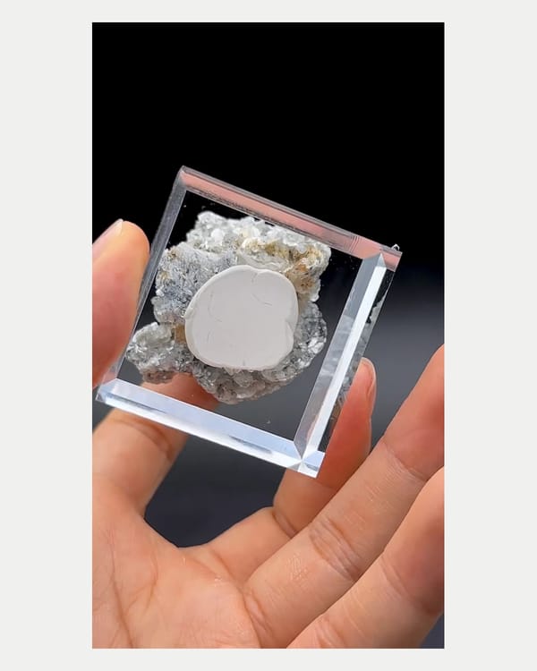 Complete right oblique view of scheelite with cassiterite and mica