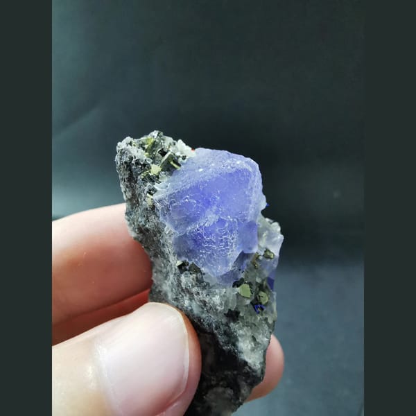 Octahedral fluorite with marmatite and chalcopyrite — detail view