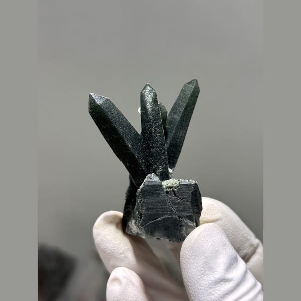 Spray of dark green included quartz crystals from Inner Mongolia — complete view